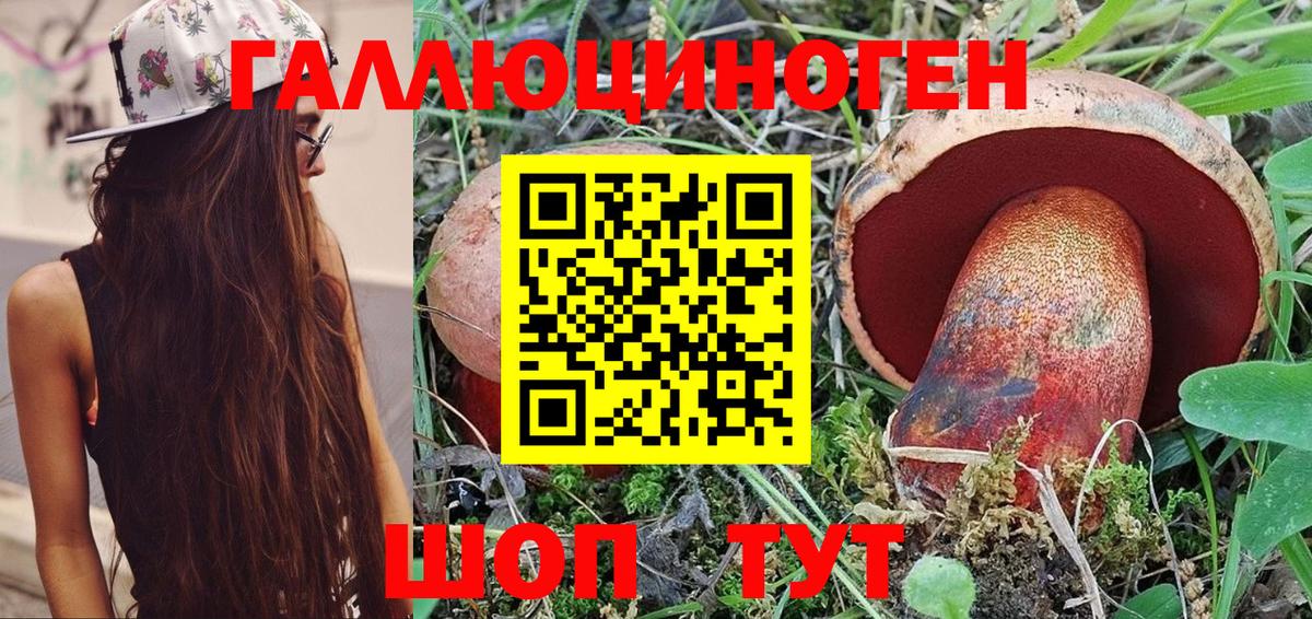 Галлюциногенные грибы Cubensis Коломна